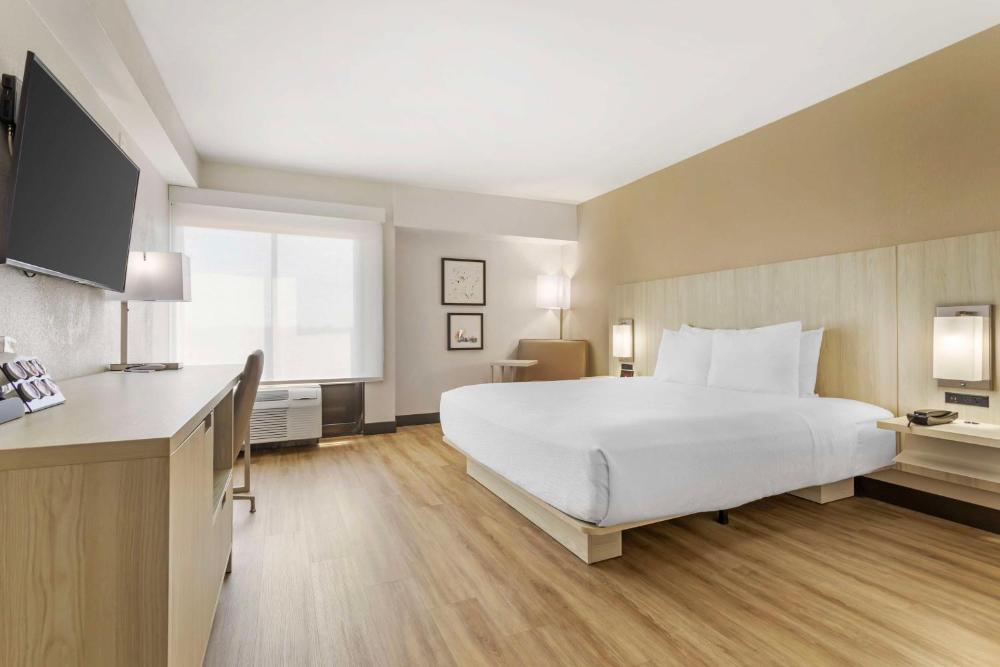 King Room - Disability Access interior